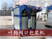 葉輪閥口包裝機(jī)